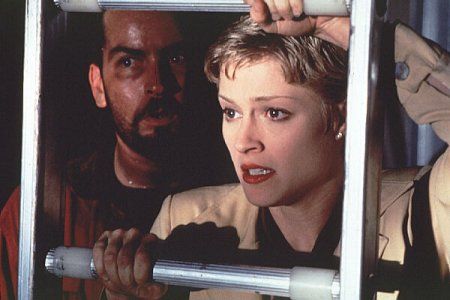 ¡Han llegado! : Foto