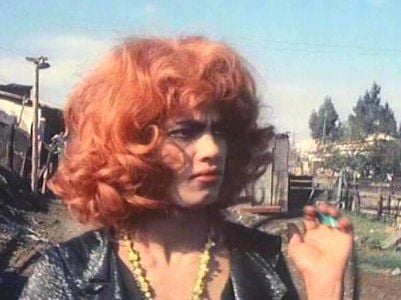 Brutos, sucios y malos : Foto