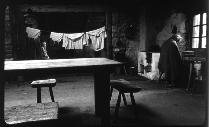 The Turin horse : Foto