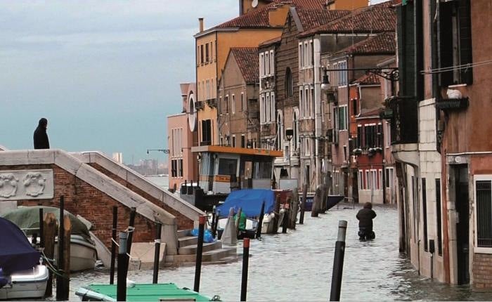 Sei Venezia : Foto