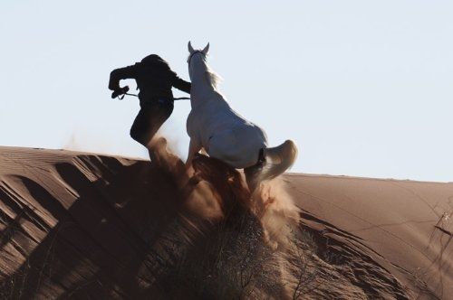 Tornado and the Kalahari Horse Whisperer : Foto