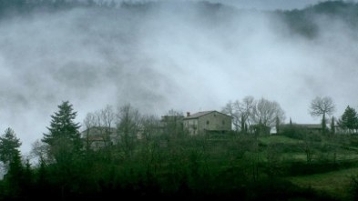 Nel giardino dei suoni : Foto