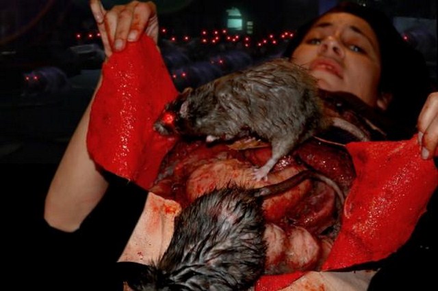 Rat Scratch Fever : Foto