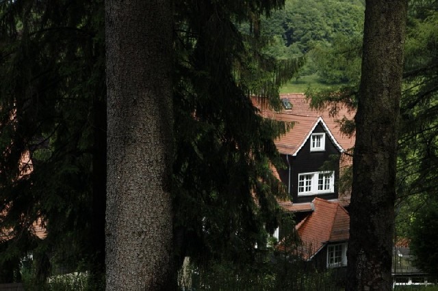 Und wir sind nicht die Einzigen : Foto