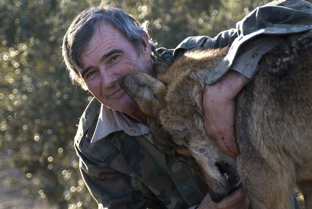 Entre lobos : Foto