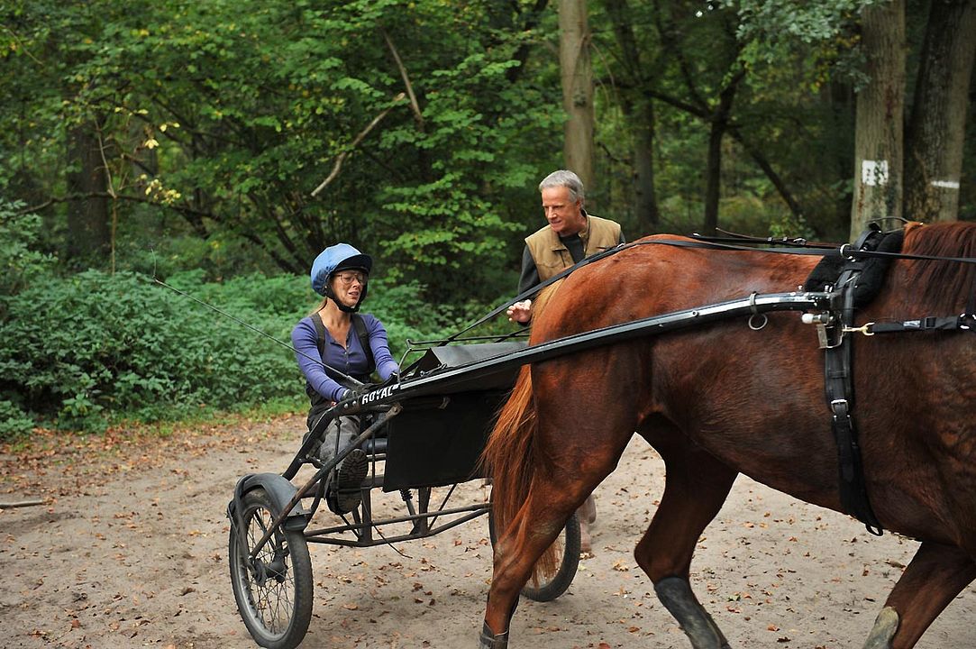 Ma bonne étoile : Foto
