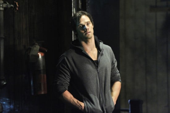 Bella y Bestia : Foto Jay Ryan (III)