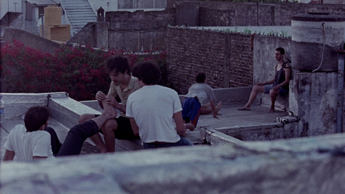 Pude Ver Un Puma : Foto