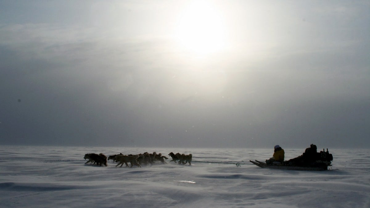 Voyage d’Inuk : Foto