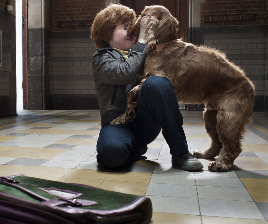 Foto Charles Crombez