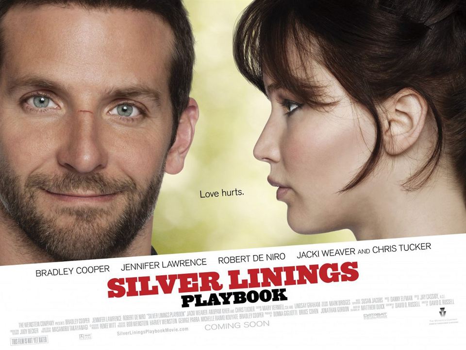 El lado bueno de las cosas (Silver Linings Playbook) : Foto