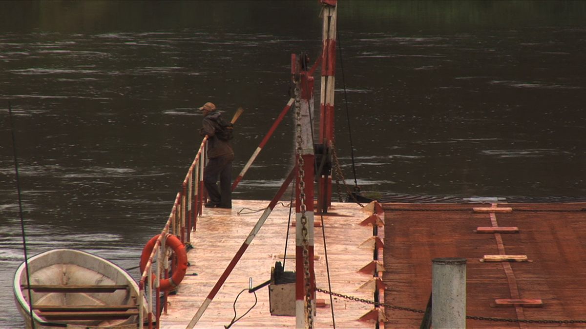 L'Hypothèse du Mokélé M'Bembé : Foto