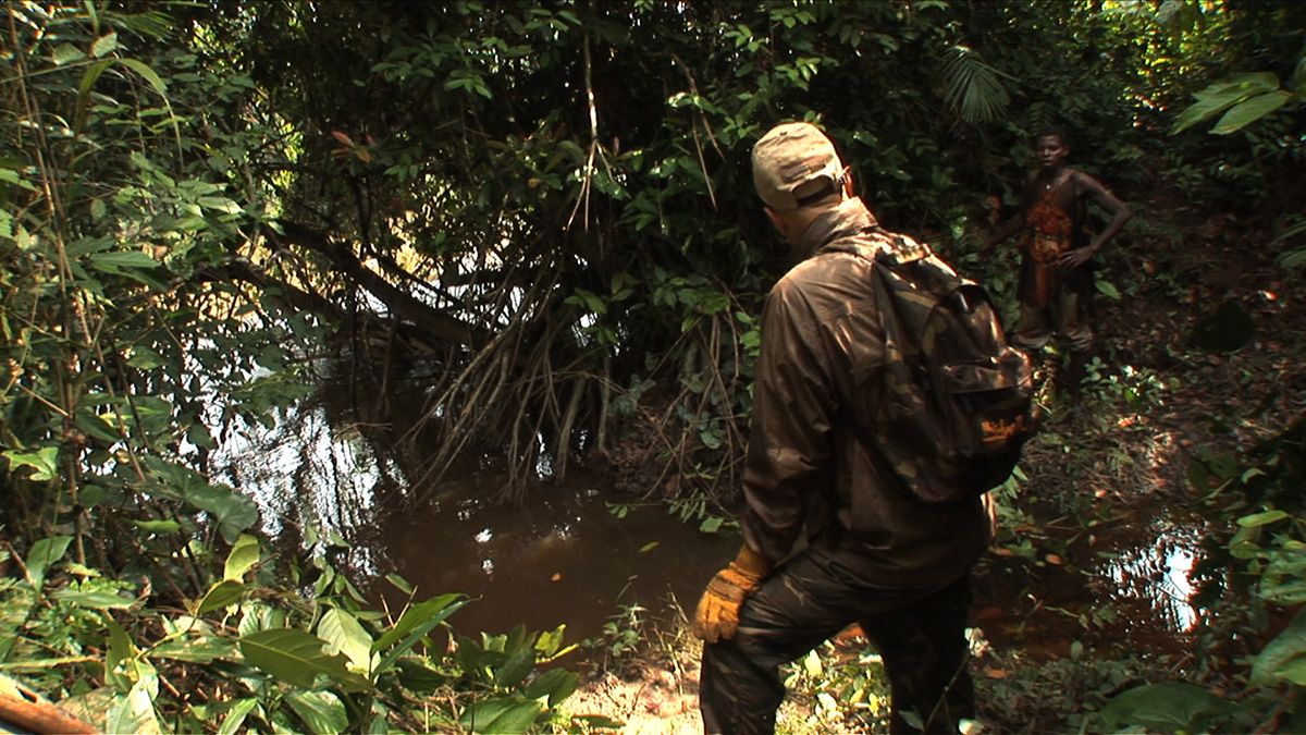 L'Hypothèse du Mokélé M'Bembé : Foto