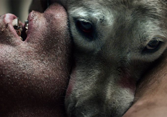 The ABCs of Death : Foto