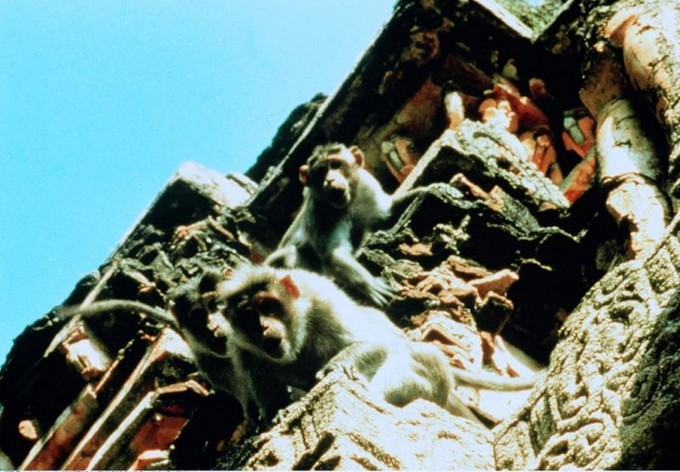 Hánuman, la leyenda del dios mono : Foto