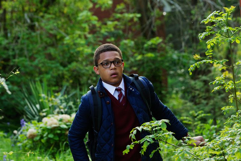 Foto Percelle Ascott