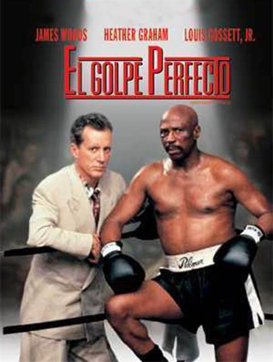 El golpe perfecto : Cartel