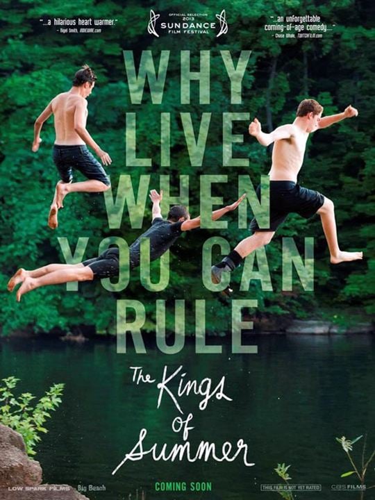 The Kings of Summer : Cartel