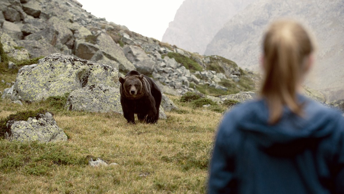 Clara und das Geheimnis der Bären : Foto