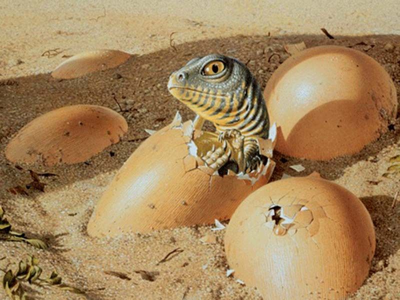 'Jurassic Park' ¿Conocías estas 20 curiosidades? ¿Pollos dinosaurios