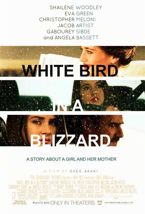White Bird in a Blizzard : Cartel