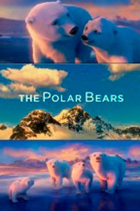 The Polar Bears : Cartel