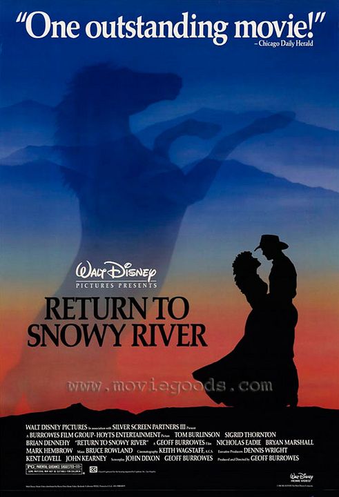 La saga del indomable : Cartel