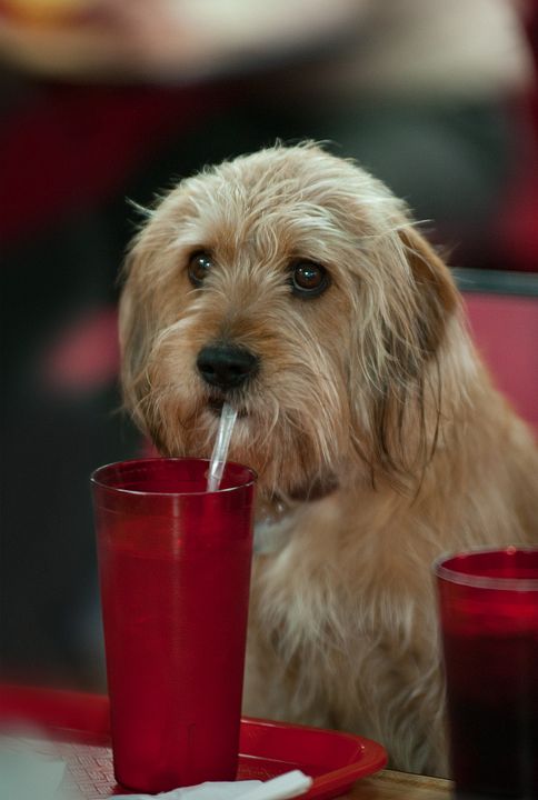 Los amos de la noticia : Foto