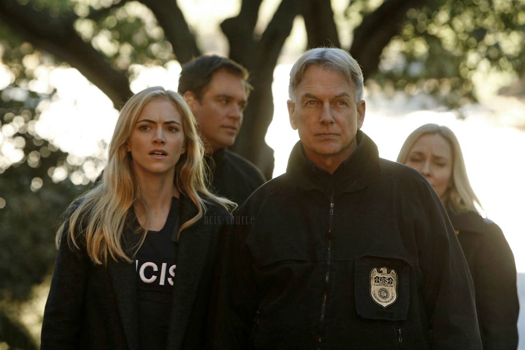 NAVY: Investigación criminal : Foto Mark Harmon, Emily Wickersham