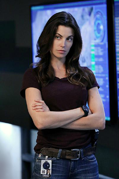 Intelligence (US) : Foto Meghan Ory