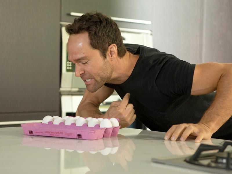 Episodes : Foto Chris Diamantopoulos