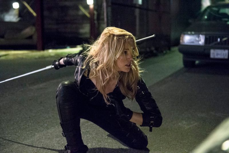 Arrow : Foto Caity Lotz