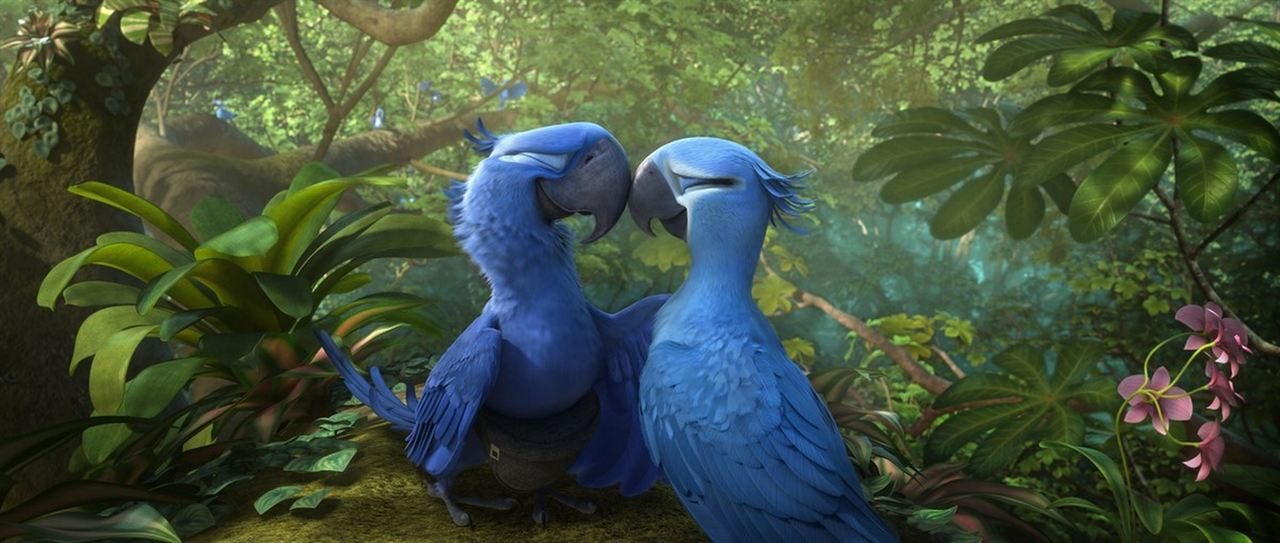 Rio 2 : Foto