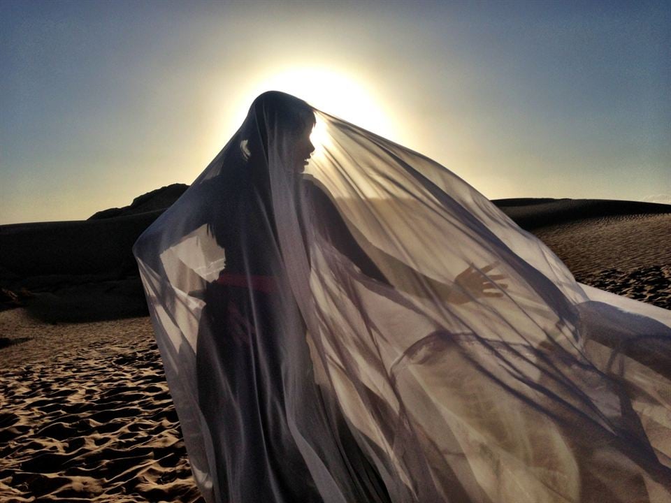 El bailarín del desierto : Foto Freida Pinto