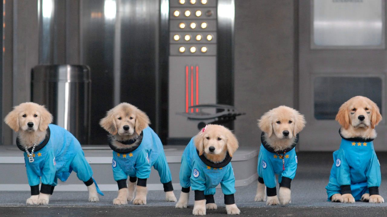 Space Buddies: Cachorros en el espacio : Foto