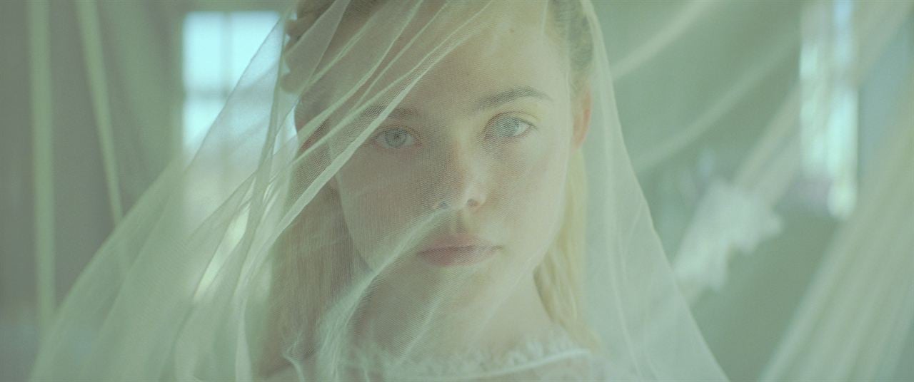 Young Ones : Foto Elle Fanning