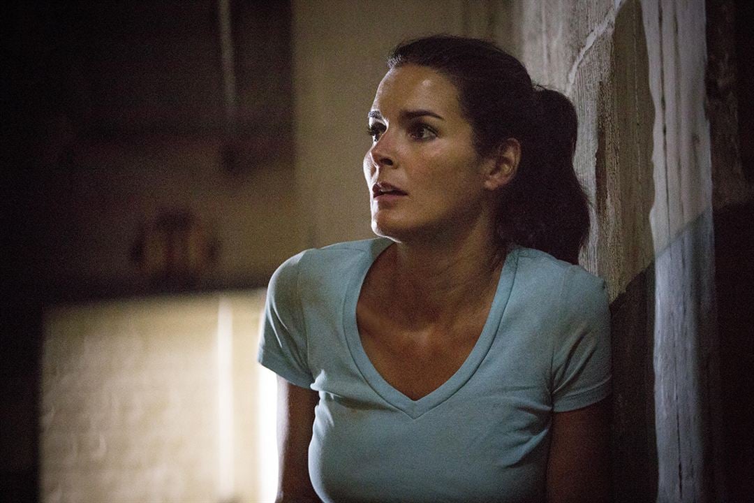 Rizzoli & Isles : Foto Angie Harmon