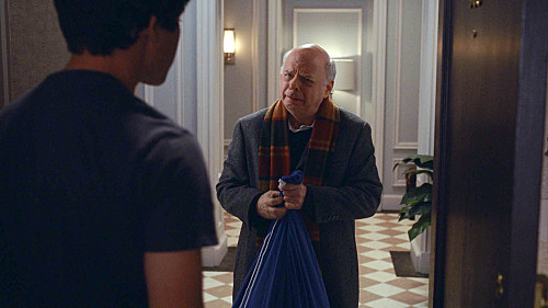 The Good Wife : Foto Wallace Shawn