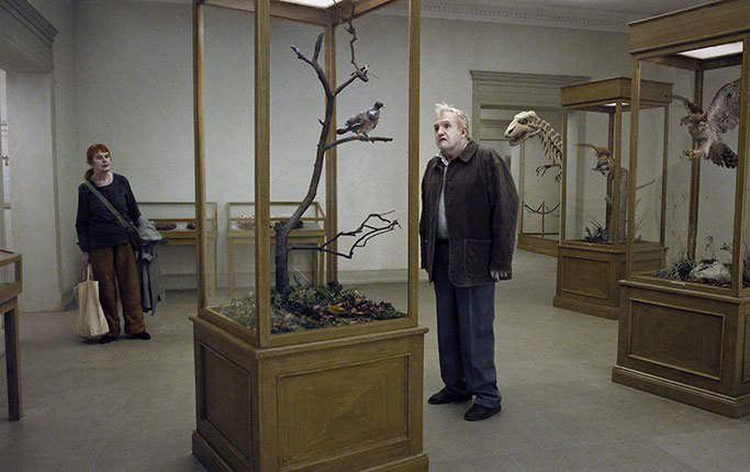 Una paloma se posó en una rama a reflexionar sobre la existencia : Foto Nisse Vestblom