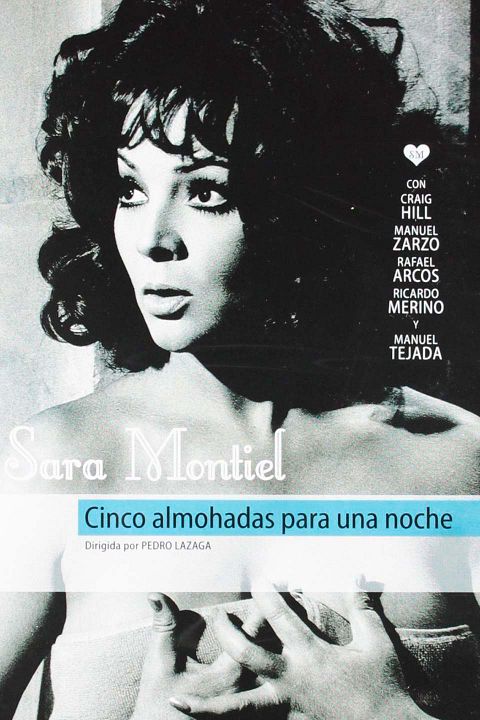 Cinco almohadas para una noche : Cartel