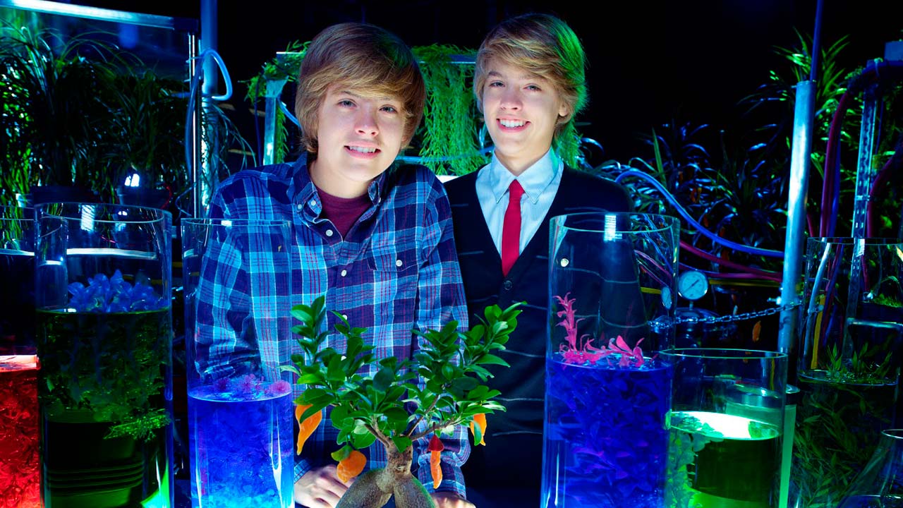Zack y Cody, la película : Foto