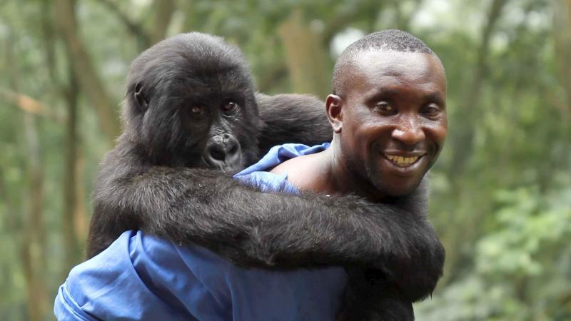 Virunga : Foto