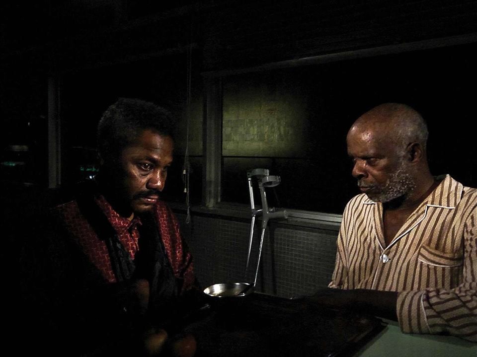 Caballo dinero : Foto