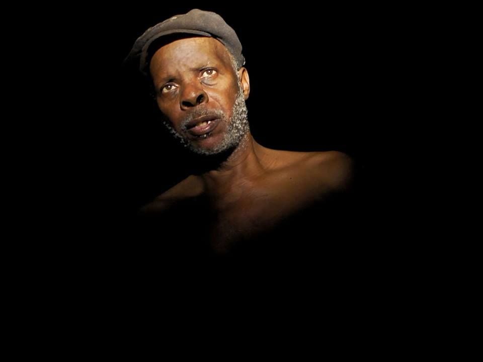 Caballo dinero : Foto