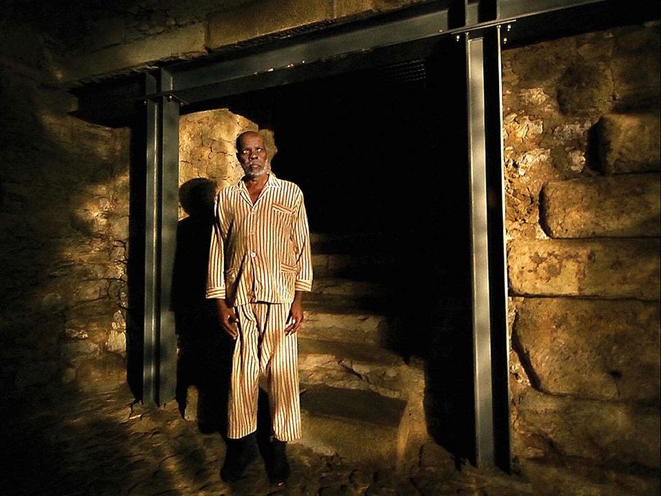 Caballo dinero : Foto