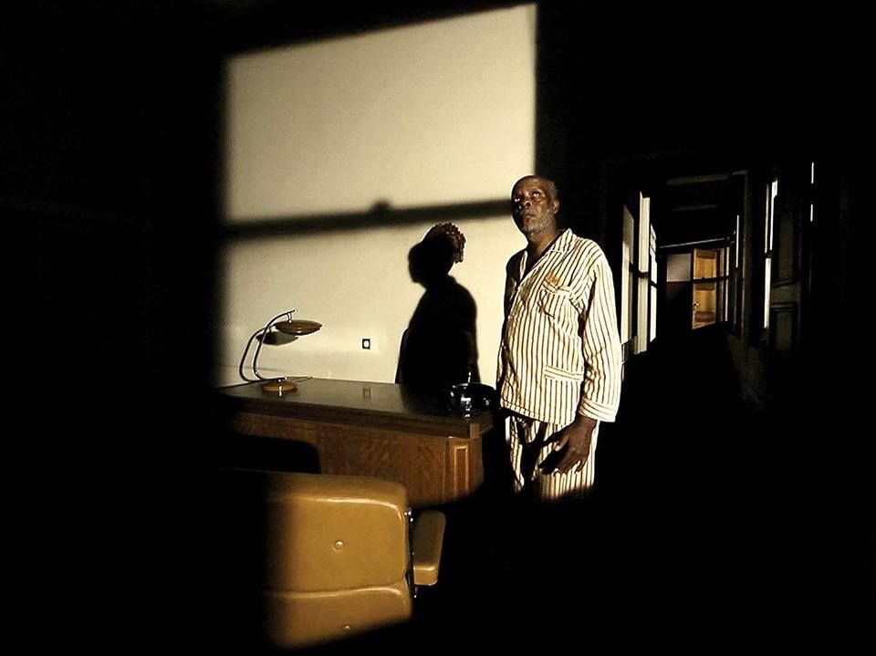 Caballo dinero : Foto