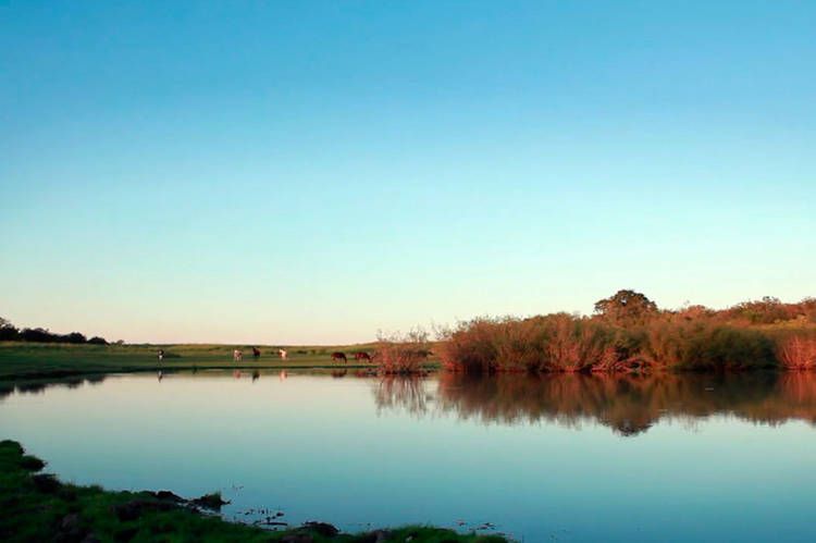 Carta a un padre : Foto