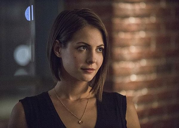 Arrow : Foto Willa Holland