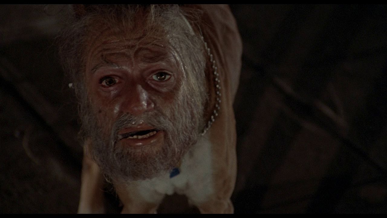 La invasión de los ultracuerpos : Foto