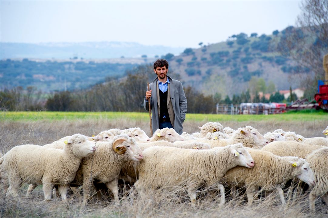 Las ovejas no pierden el tren : Foto Raúl Arévalo